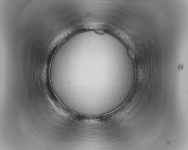 X0000093370586200711011230