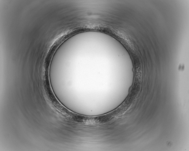 X0000093370587200711011230