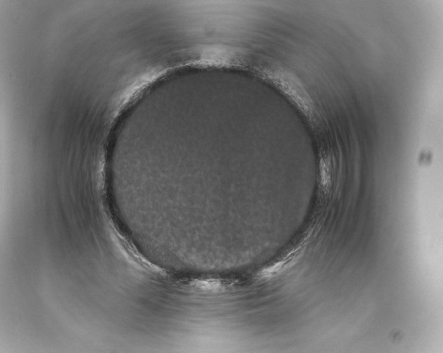 X0000093370588200711011230