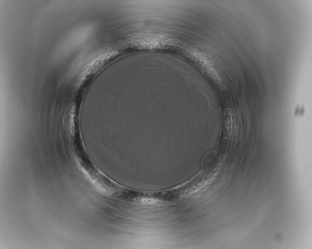 X0000093370590200711011230