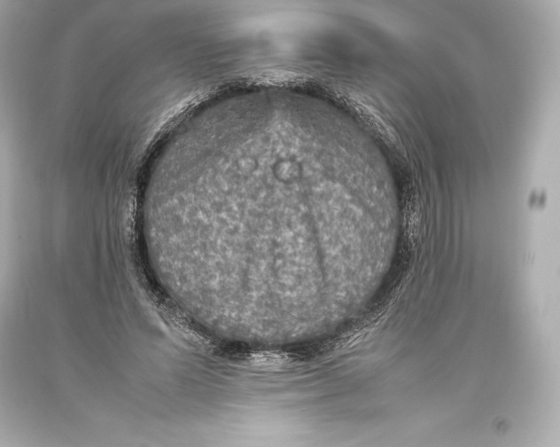 X0000093370591200711011230