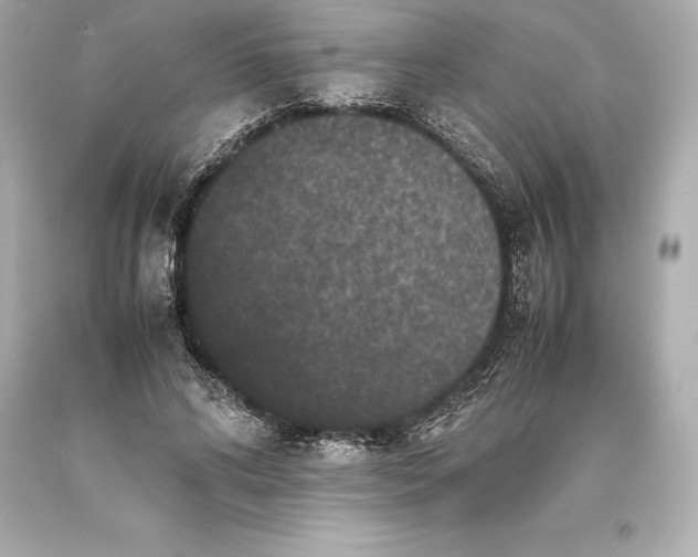 X0000093370592200711011230