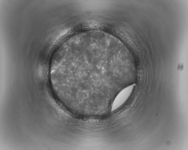 X0000093370593200711011230