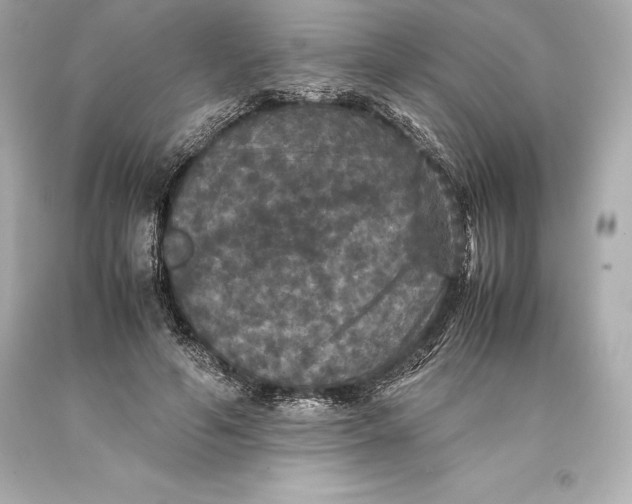 X0000093370594200711011230