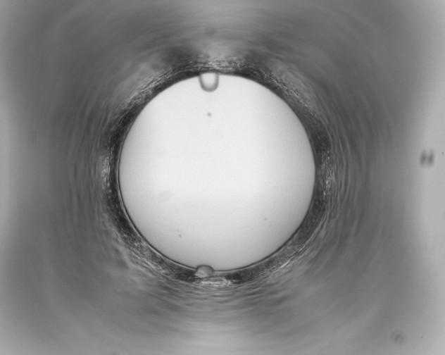 X0000093370595200711011230