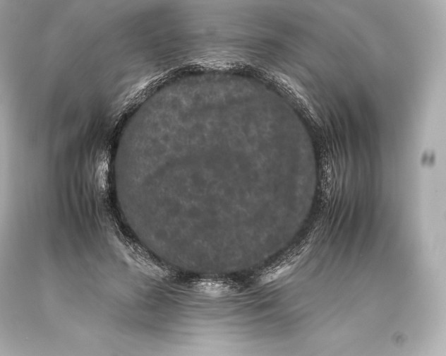 X0000093370596200711011230