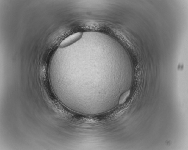 X0000093370597200711011230