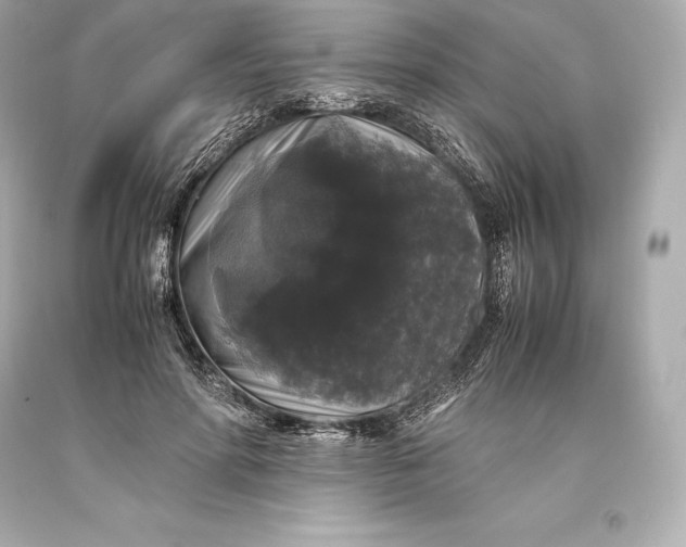 X0000093370598200711011230