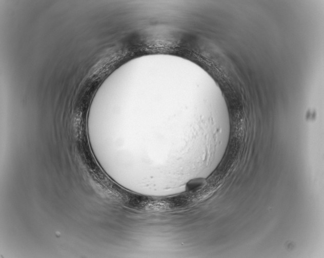 X0000093370599200711011230