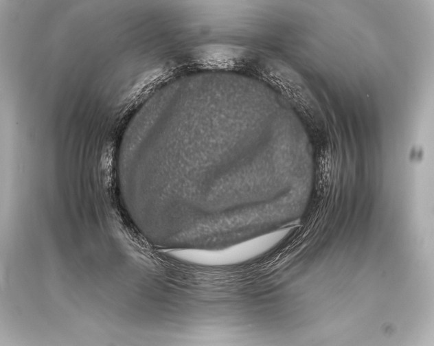 X0000093370600200711011230