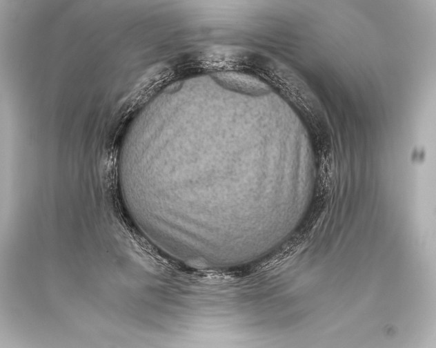 X0000093370601200711011230