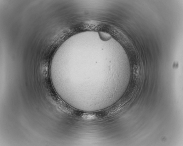 X0000093370602200711011230