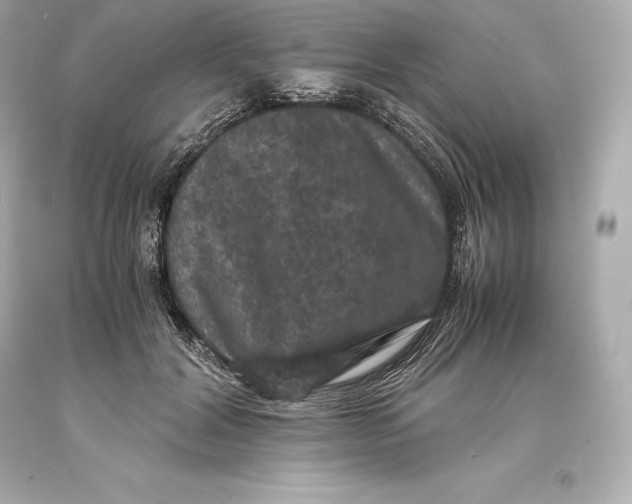 X0000093370604200711011230