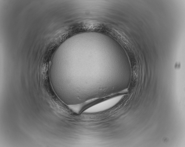 X0000093370605200711011230