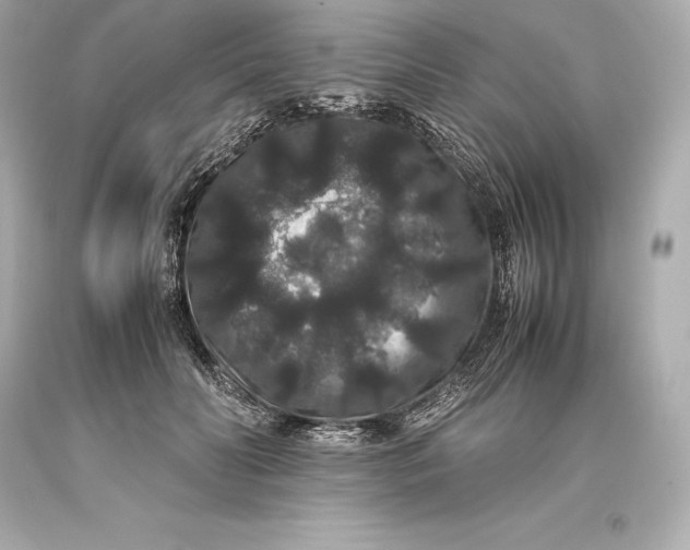 X0000093370606200711011230