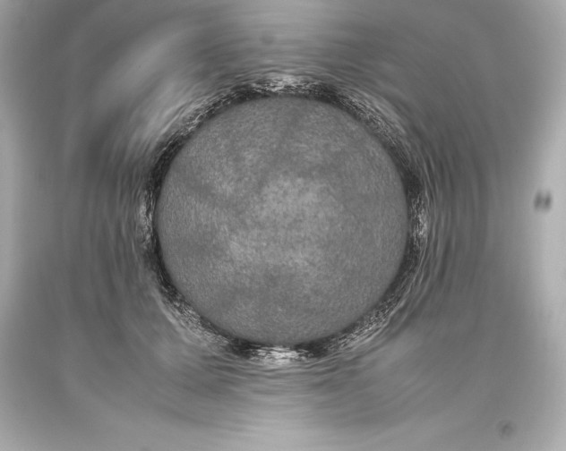 X0000093370607200711011230