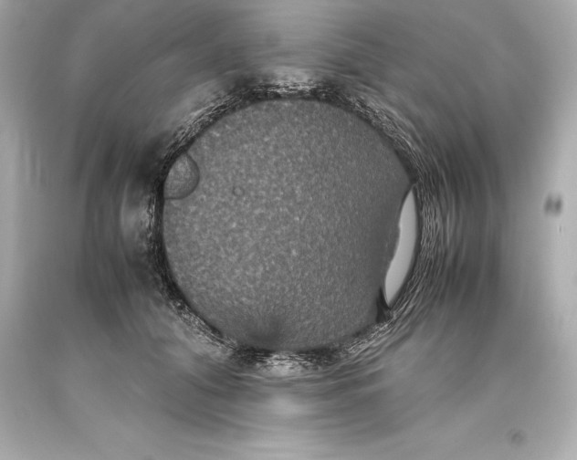 X0000093370608200711011230