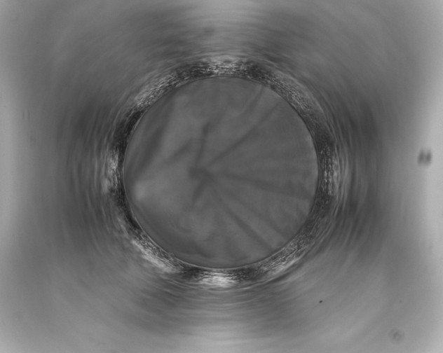 X0000093370610200711011230