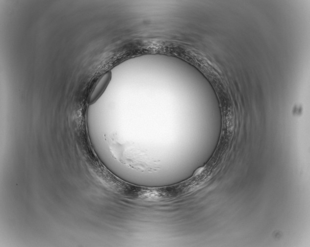 X0000093370611200711011230