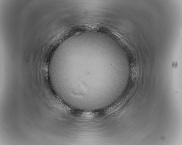 X0000093370613200711011230