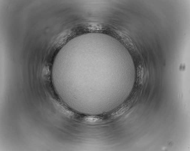 X0000093370614200711011230