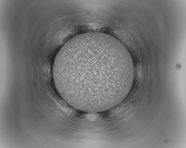 X0000093370615200711011230