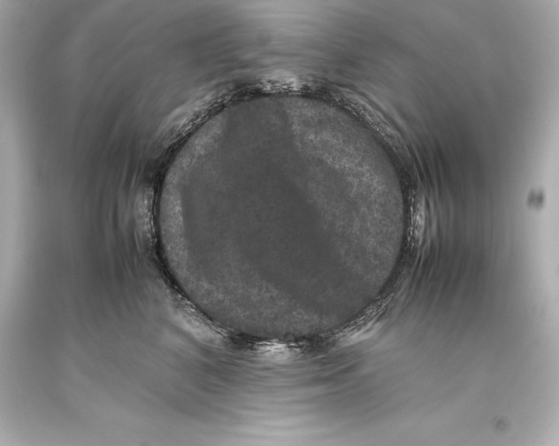 X0000093370616200711011230