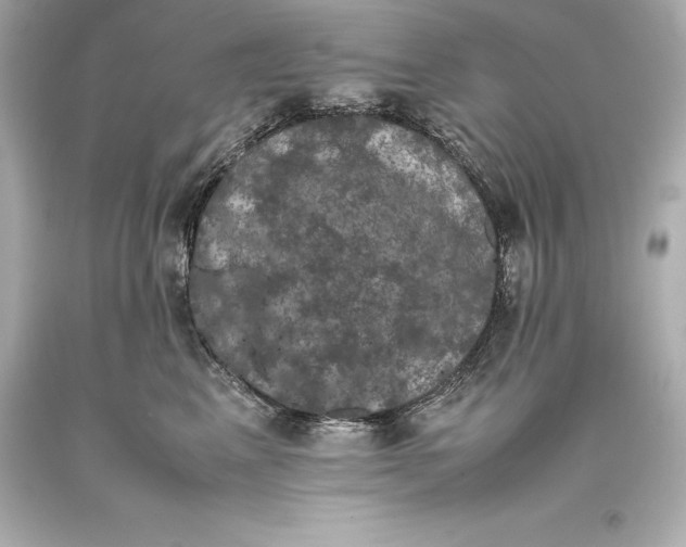 X0000093370617200711011230