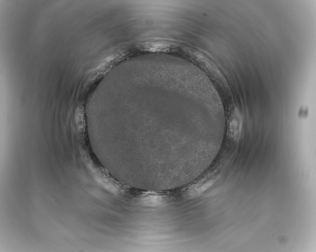 X0000093370620200711011230