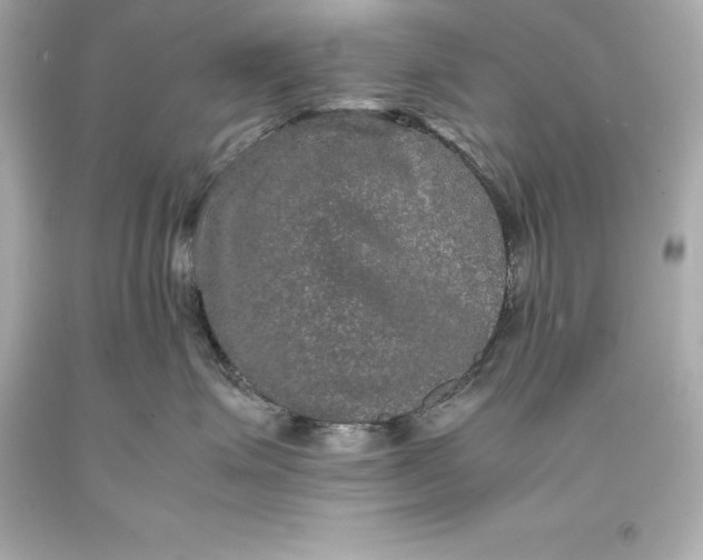 X0000093370623200711011230