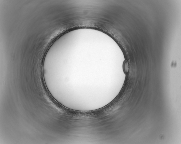 X0000093370625200711011229