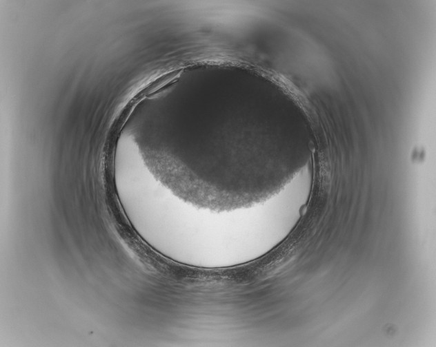 X0000093370626200711011229