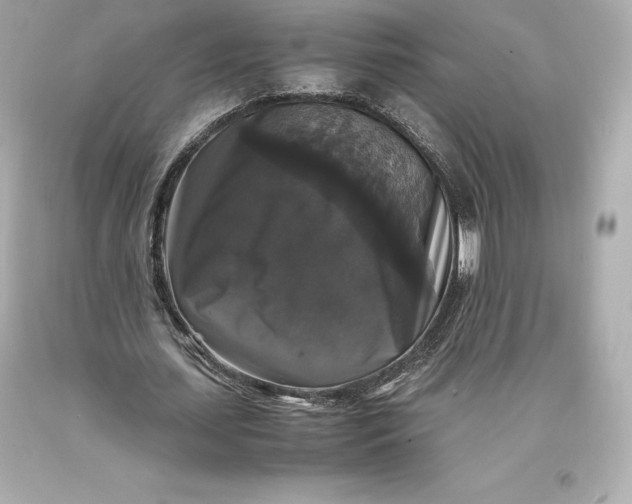 X0000093370627200711011229