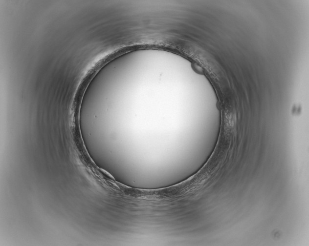 X0000093370628200711011229