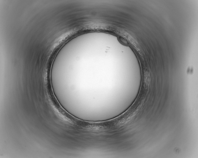 X0000093370629200711011229