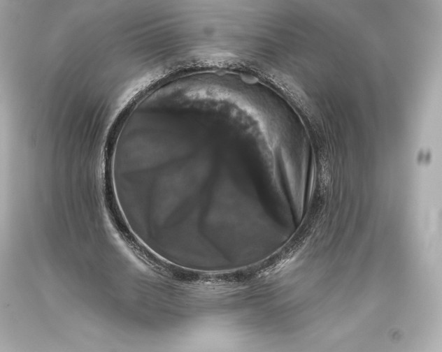 X0000093370630200711011229