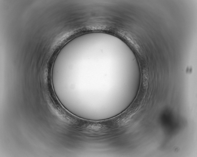 X0000093370631200711011229