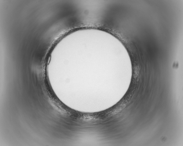 X0000093370632200711011229