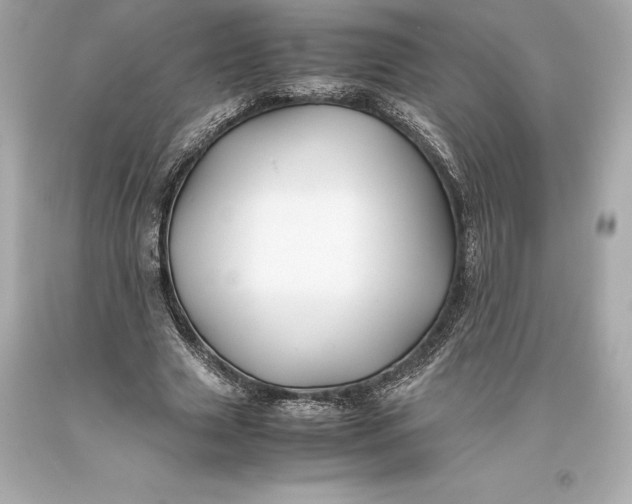 X0000093370633200711011229