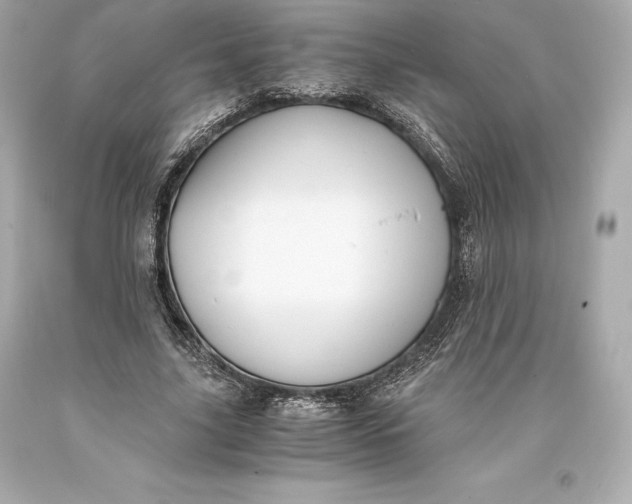 X0000093370635200711011229