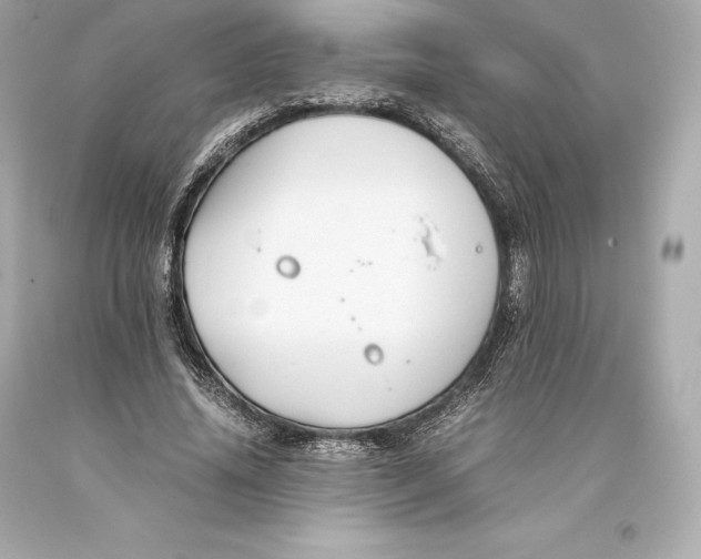 X0000093370636200711011229