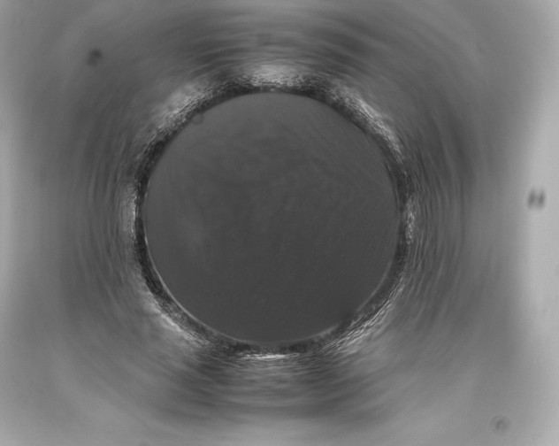 X0000093370637200711011229