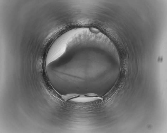 X0000093370640200711011229