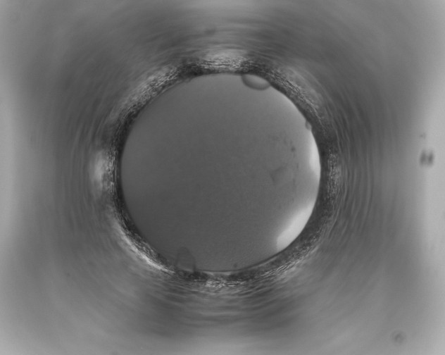 X0000093370641200711011229