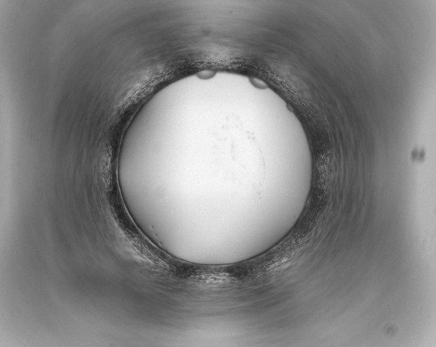 X0000093370642200711011229