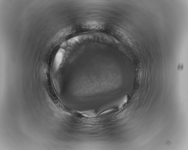 X0000093370643200711011229