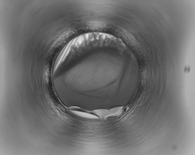 X0000093370644200711011229