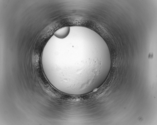 X0000093370646200711011229