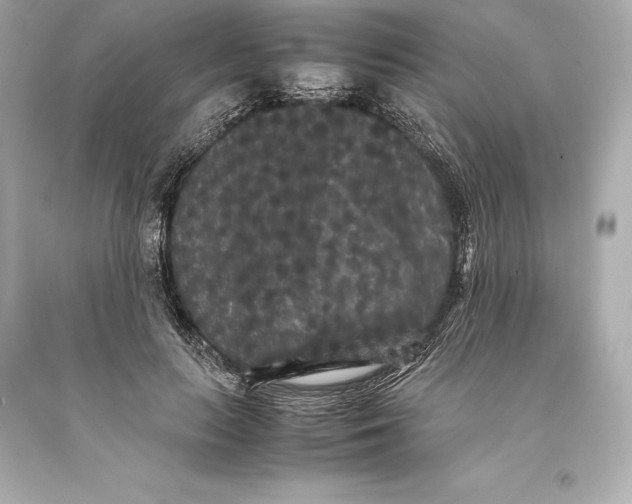 X0000093370647200711011229