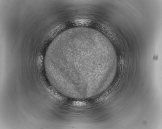 X0000093370649200711011229